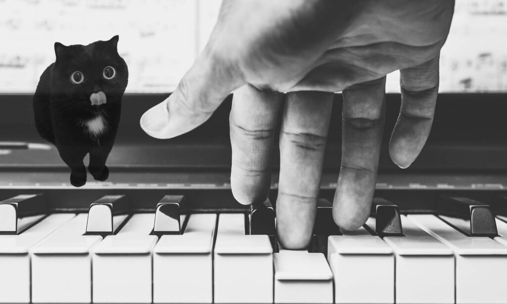 Đàn piano có bao nhiêu phím? Phương pháp “Mèo Đen" ghi nhớ phím đàn hữu ích dành cho trẻ em  4 Phương pháp “Mèo đen" dành cho người mới bắt đầu
