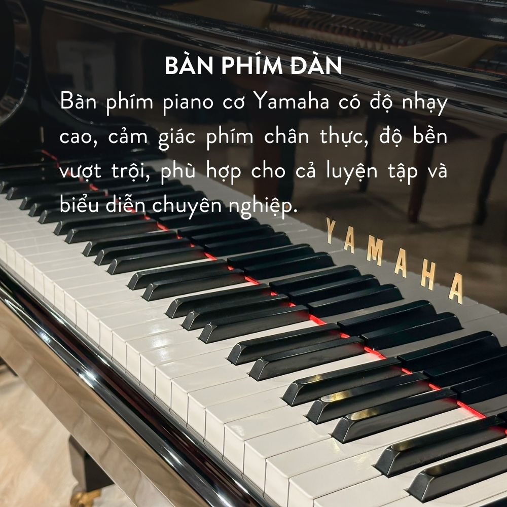Yamaha G5 2 Đàn Grand Piano Yamaha G5E giá rẻ