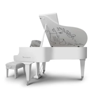 Bösendorfer Cocteau 214VC