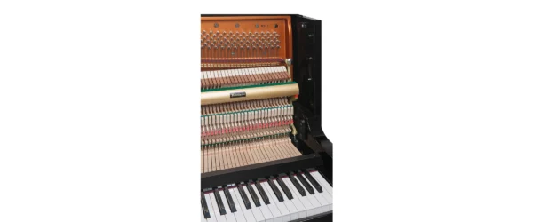 Chốt giữ và dây đàn với chất lượng hoàn thiện cao của Bösendorfer 120