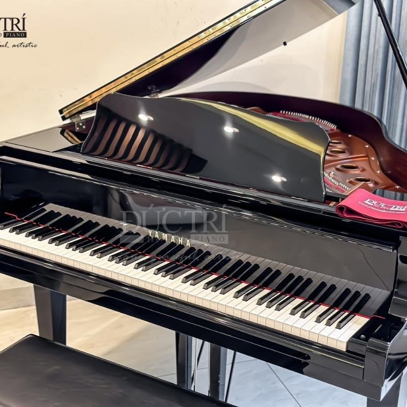 Yamaha CFX 16 Nắp thùng đàn Yamaha CFX