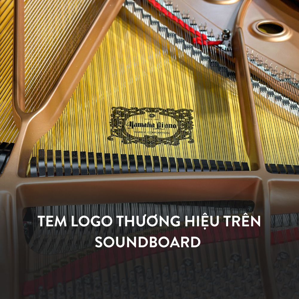 Yamaha C7 2 Đàn Grand Piano Yamaha C7 Cao Cấp tại Đức Trí Music