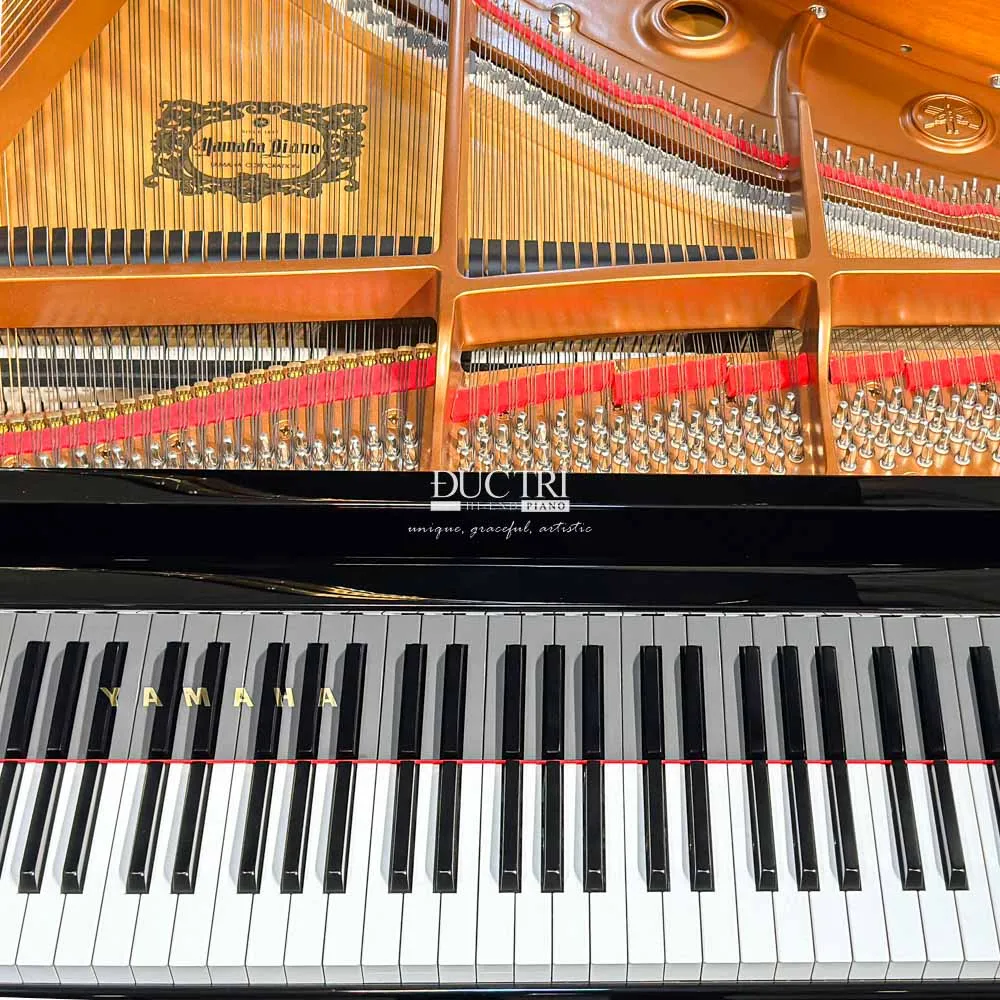Yamaha GB1K PE 3 Bàn phím của Piano Yamaha GB1K