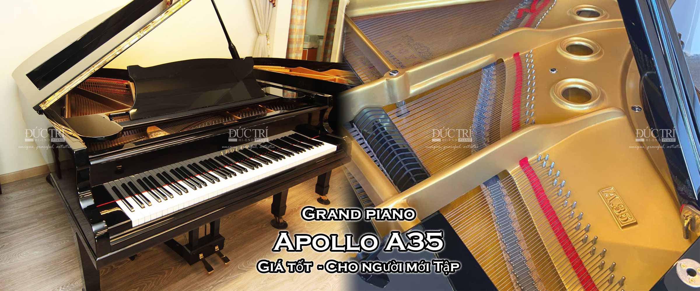Apollo A35 1 Đàn Piano Apollo A35 - Mẫu Grand piano Giá rẻ cho người mới tập piano