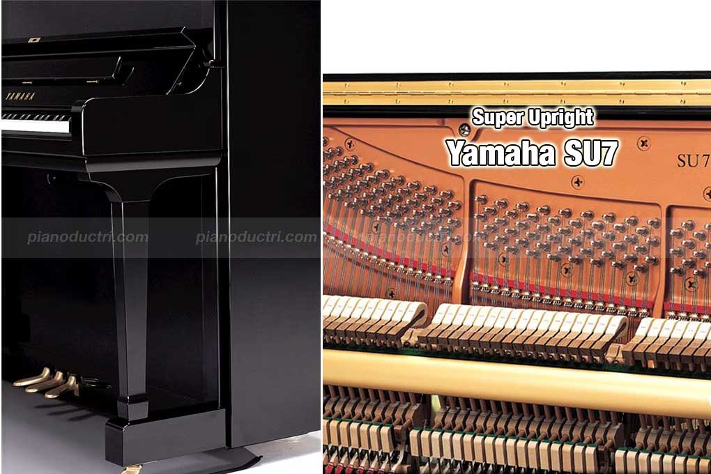 Yamaha SU7 3 Các đường nét trên Yamaha SU7 được chạy chỉ trạm nổi