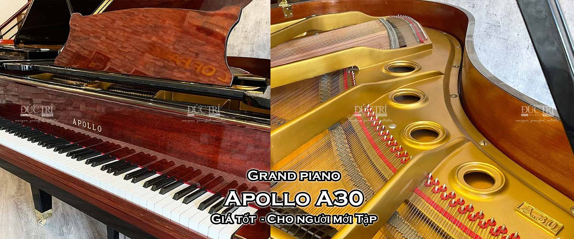 Apollo A30 1 Đàn Piano Apollo A30 màu gỗ Piano Đức Trí