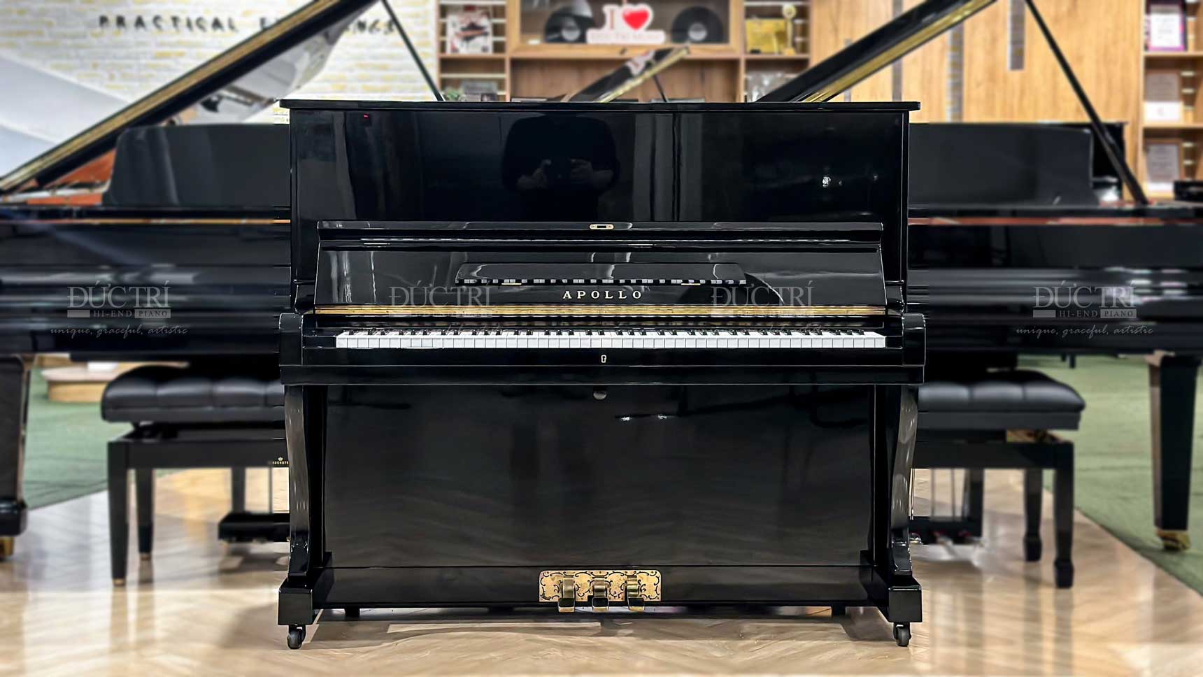 Apollo A5 Special 1 Đàn Piano Apollo A5 Special giá rẻ Piano Đức Trí