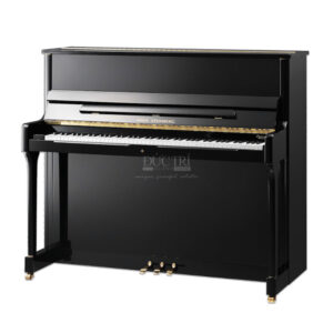 Đàn Piano Wilh Steinberg P-125