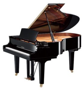Yamaha C3 PE sản xuất mới 2024