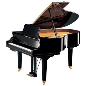 Yamaha DGC2 ENST