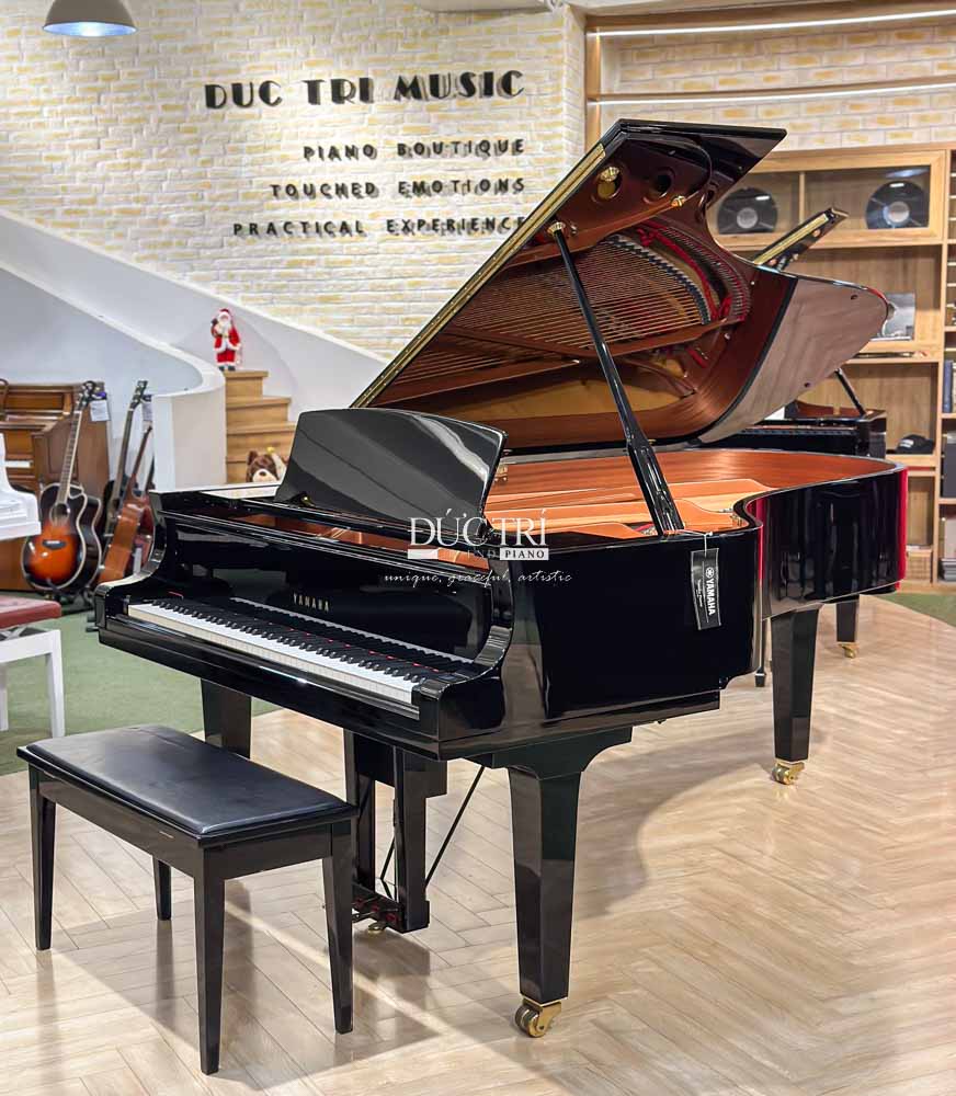 Yamaha DC7 EnPrO 1 yamaha DC7 enpro