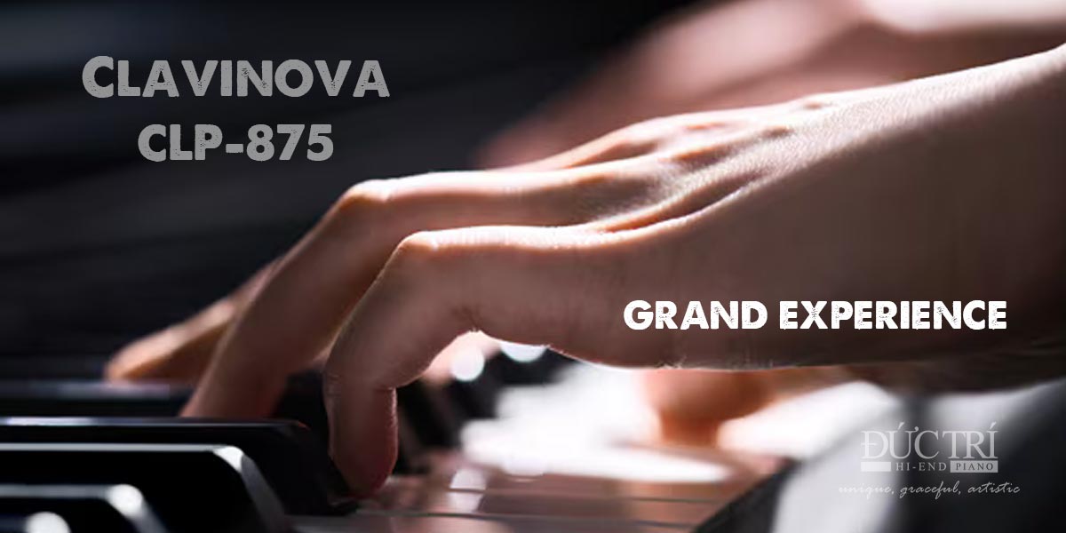 Yamaha CLP-875 DR 2 Bàn phím GRAND EXPERIENCE CLP-875 piano đức trí