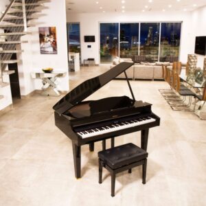 Roland GP - 607 PE