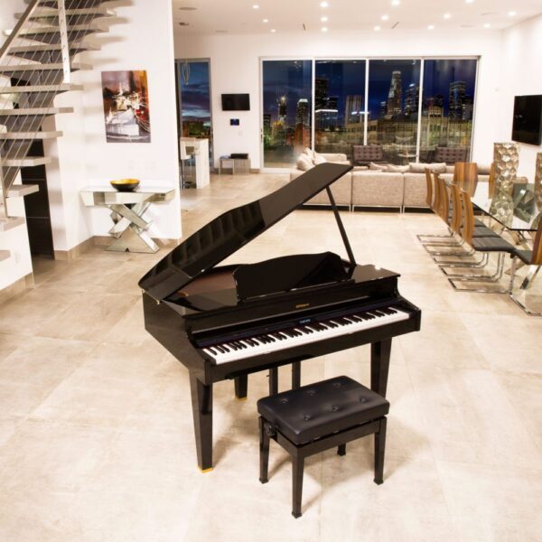 Roland GP - 607 PE