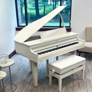 Roland GP - 607 PW