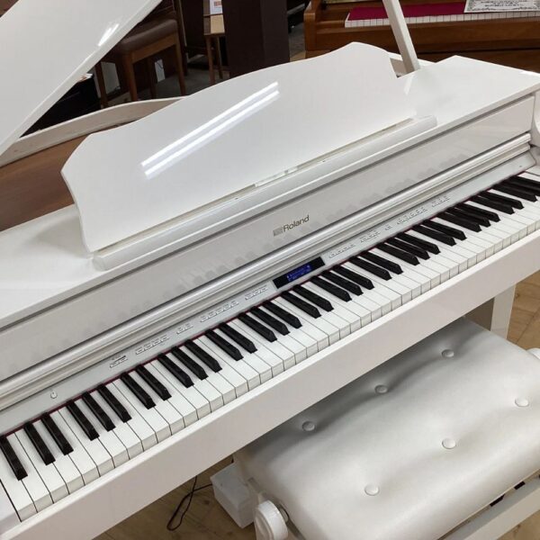 Roland GP - 607 PW