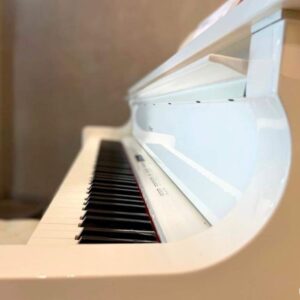 Roland GP- 609 PW