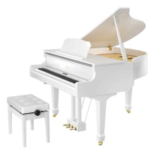 Roland GP- 609 PW