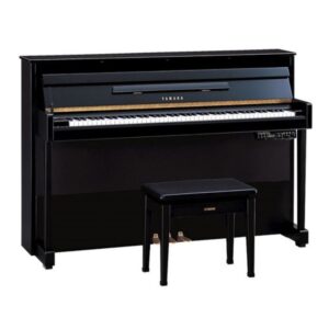 YAMAHA DUP20