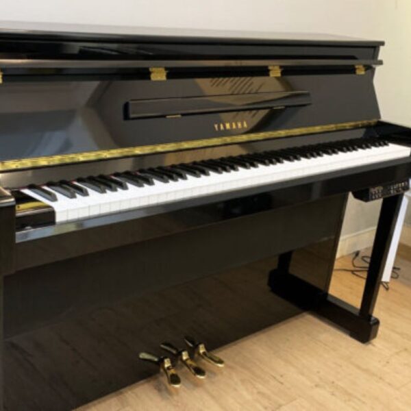 YAMAHA DUP20