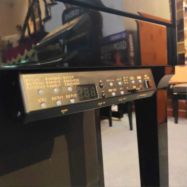 YAMAHA DUP20
