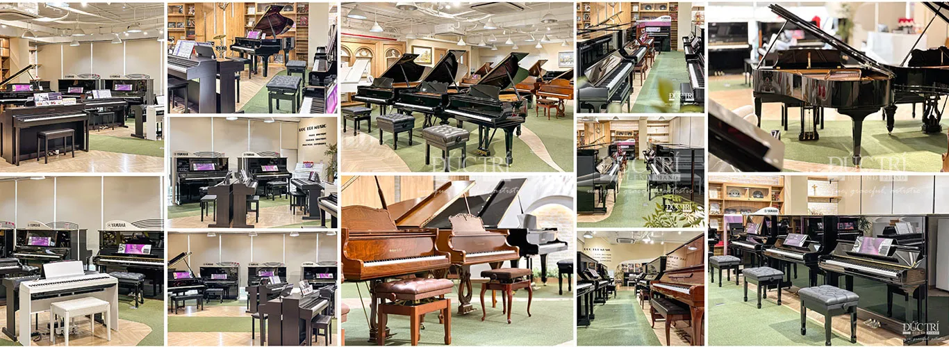 Wm Knabe & Co 5 Showroom Piano Đức Trí