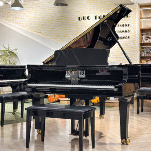 Yamaha S5X