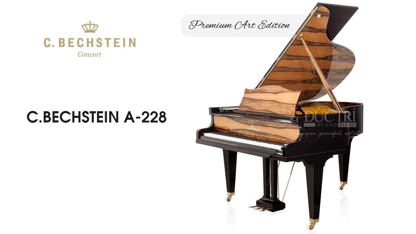Bluthner 279 25 Bechstein A228
