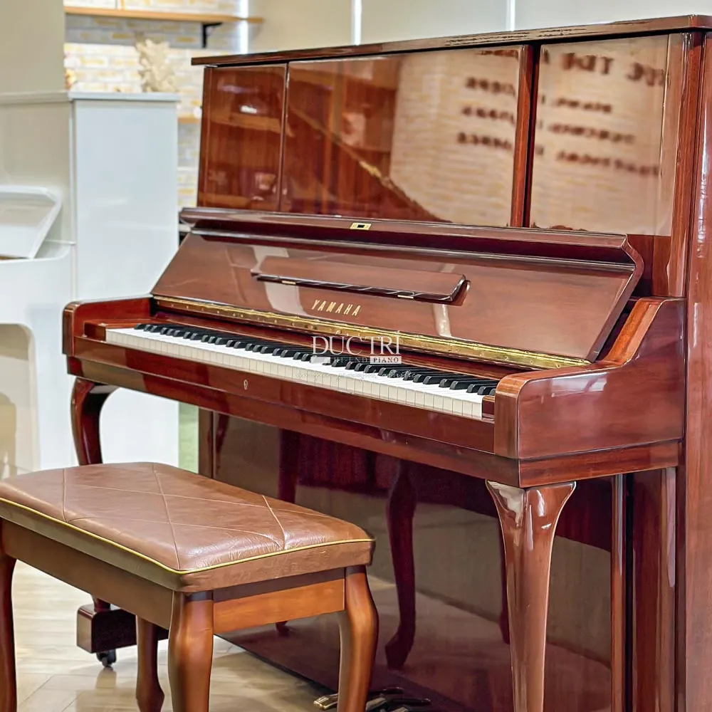 Bluthner 279 1 Đàn piano cơ là gì