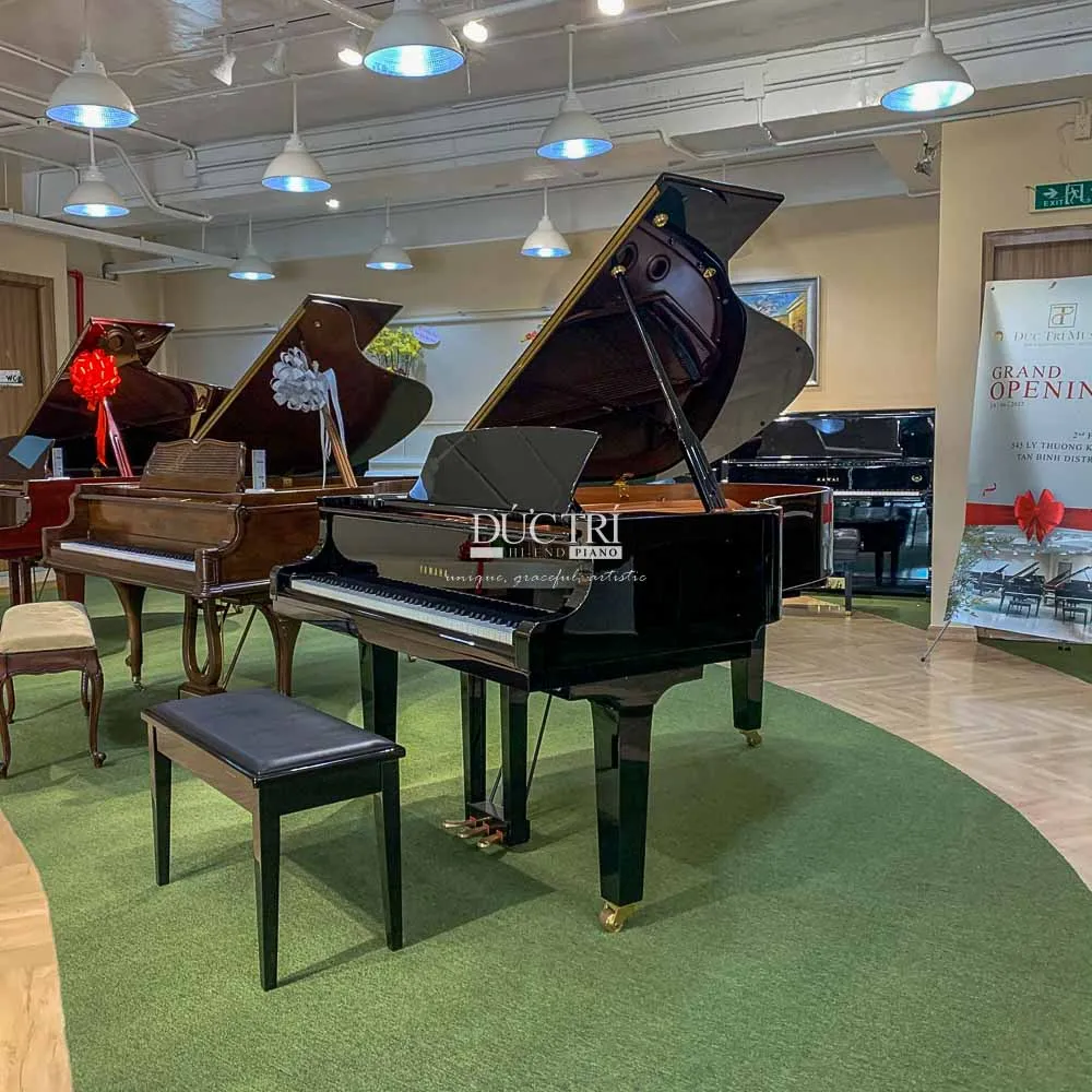 Bluthner 279 17 Đàn piano Yamaha CX3