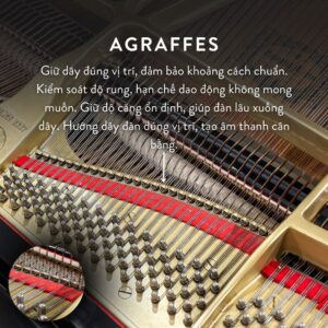 Đàn Grand Piano Yamaha C5 Cao Cấp Tại Đức Trí Music