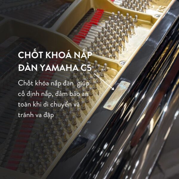 Đàn Grand Piano Yamaha C5 Cao Cấp Tại Đức Trí Music
