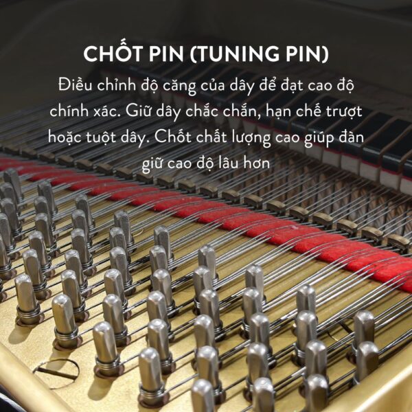 Đàn Grand Piano Yamaha C5 Cao Cấp Tại Đức Trí Music