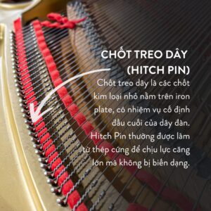 Đàn Grand Piano Yamaha C5 Cao Cấp Tại Đức Trí Music