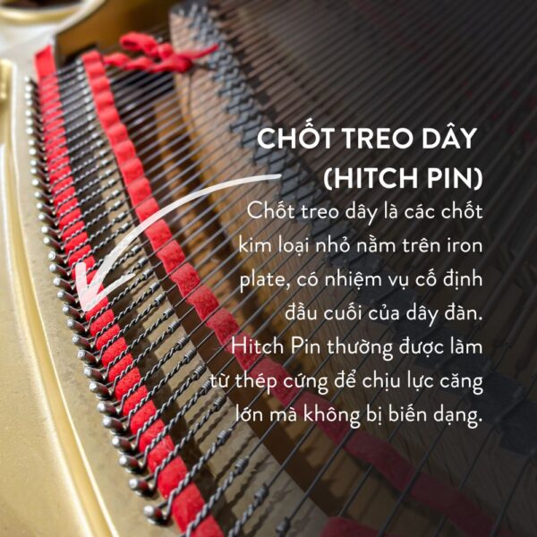 Đàn Grand Piano Yamaha C5 Cao Cấp Tại Đức Trí Music