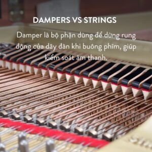 Đàn Grand Piano Yamaha C5 Cao Cấp Tại Đức Trí Music