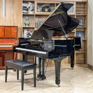Đàn Grand Piano Yamaha C5 Cao Cấp tại Đức Trí Music