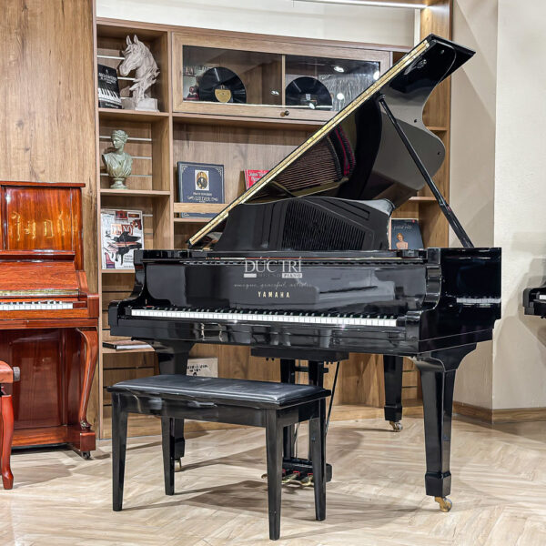 Đàn Grand Piano Yamaha C5 Cao Cấp tại Đức Trí Music