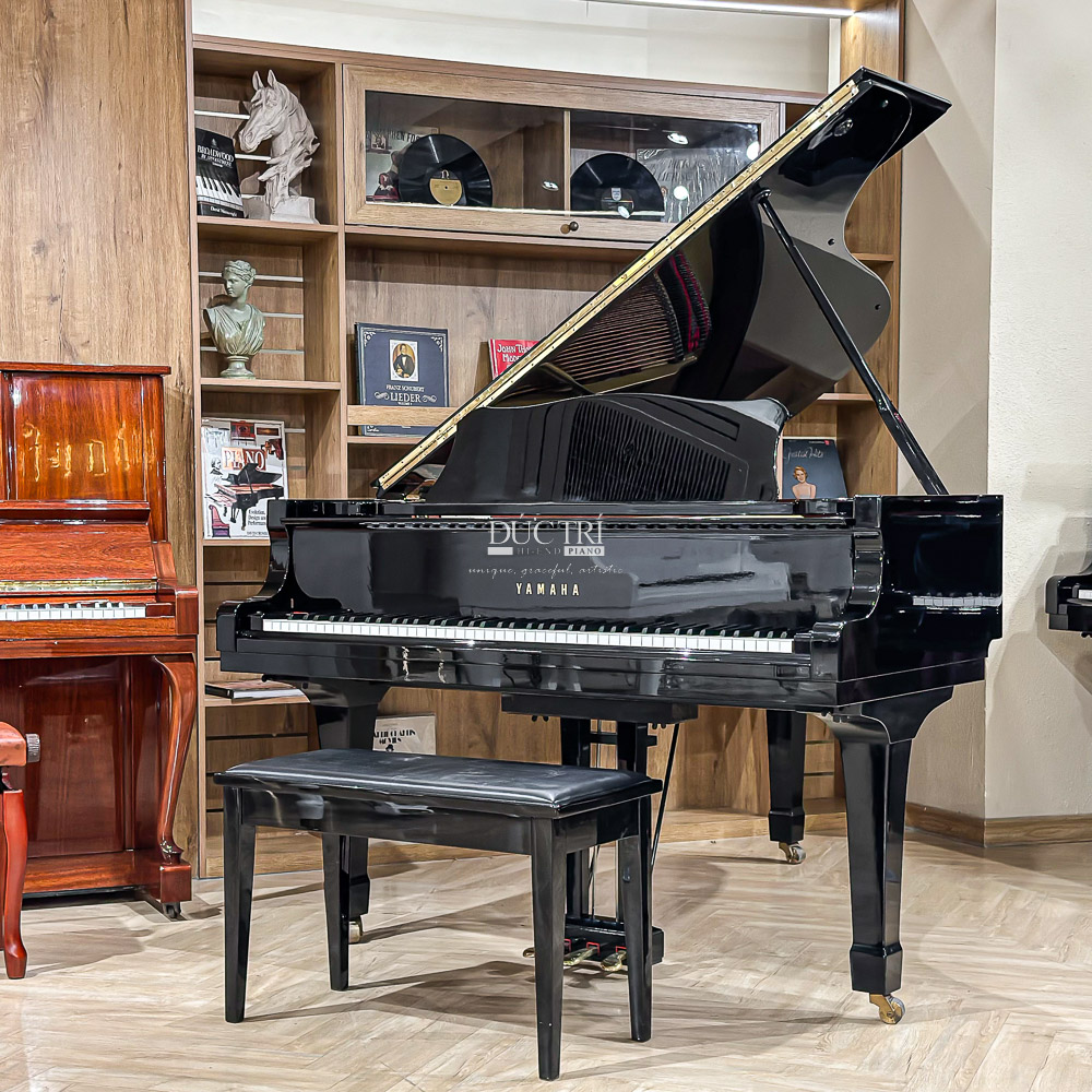 Yamaha C5 2 Đàn Grand Piano Yamaha C5 Cao Cấp tại Đức Trí Music