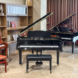 Đàn Grand Piano Yamaha C5 Cao Cấp tại Đức Trí Music