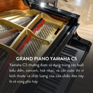 Đàn Grand Piano Yamaha C5 Cao Cấp Tại Đức Trí Music