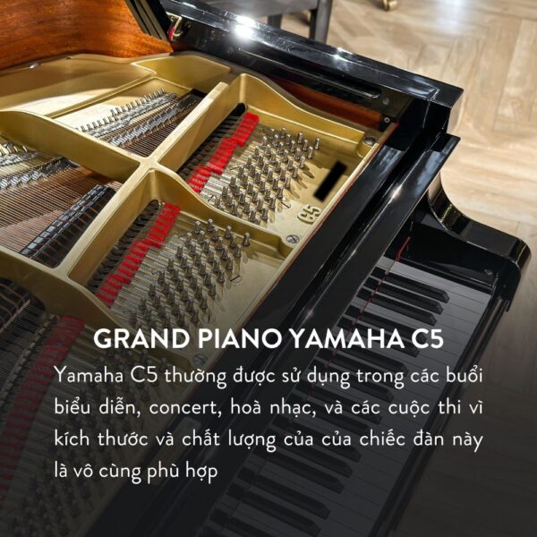 Đàn Grand Piano Yamaha C5 Cao Cấp Tại Đức Trí Music