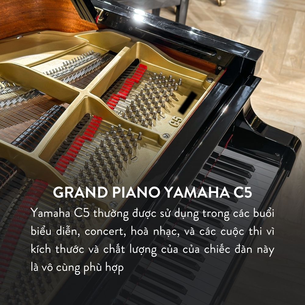 Yamaha C5 3 Đàn Grand Piano Yamaha C5 Cao Cấp Tại Đức Trí Music