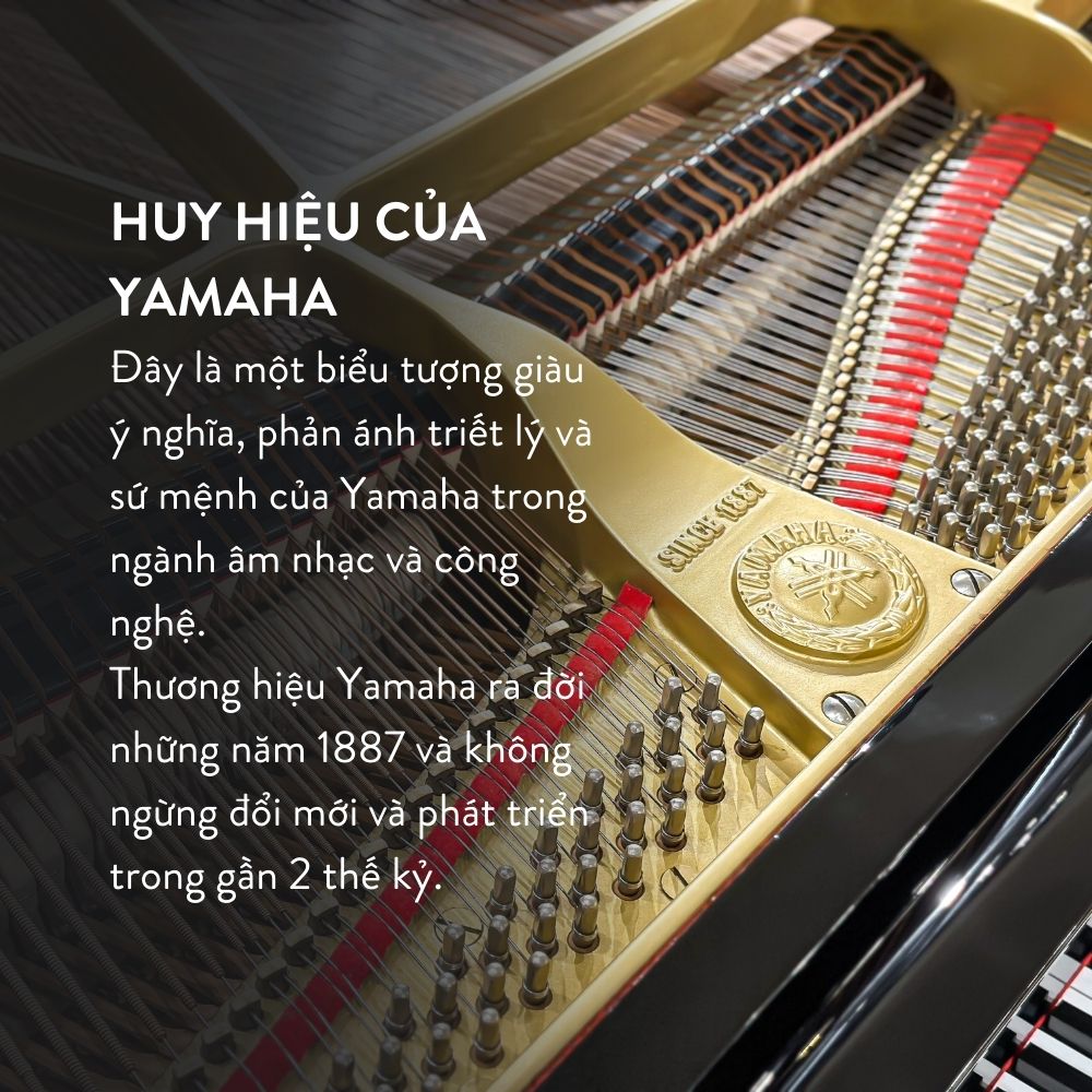Yamaha C5 6 Đàn Grand Piano Yamaha C5 Cao Cấp Tại Đức Trí Music