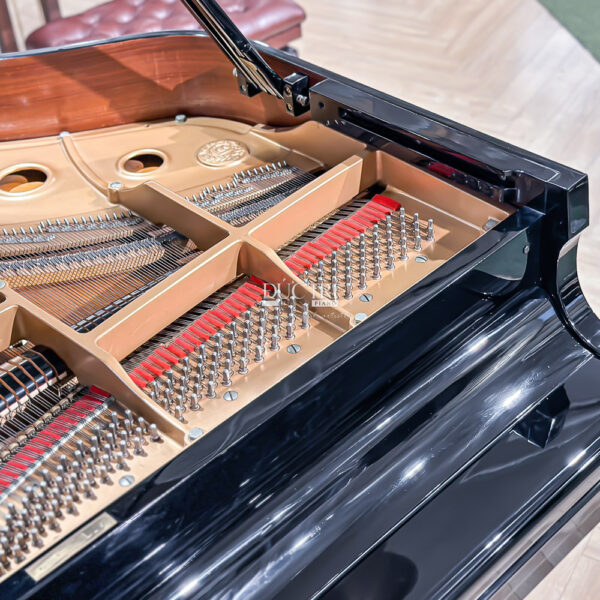 Đàn Grand Piano Kawai GS50 Giá Rẻ Tại Đức Trí Music