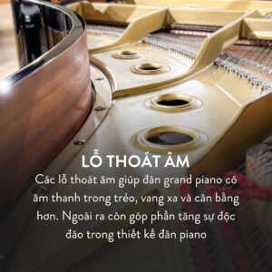 Đàn Grand Piano Yamaha C5 Cao Cấp Tại Đức Trí Music