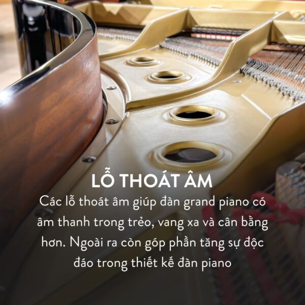 Đàn Grand Piano Yamaha C5 Cao Cấp Tại Đức Trí Music