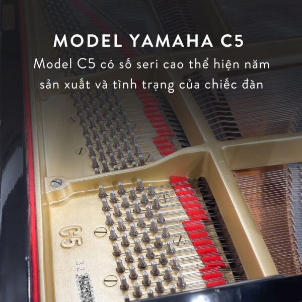 Đàn Grand Piano Yamaha C5 Cao Cấp Tại Đức Trí Music