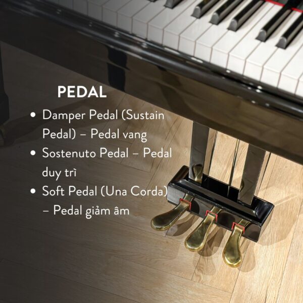 Đàn Grand Piano Yamaha C5 Cao Cấp Tại Đức Trí Music