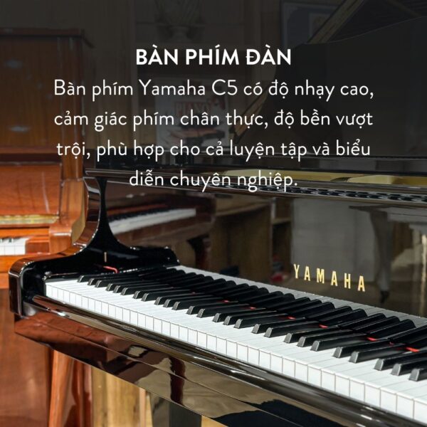Đàn Grand Piano Yamaha C5 Cao Cấp Tại Đức Trí Music